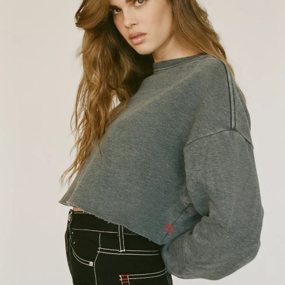 Urban outfitters charcoal gray cropped sweatshirt